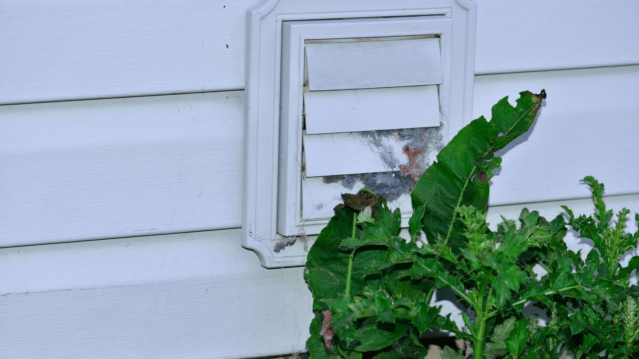 Dryer Vent Cleaning in the Summer
